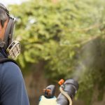 deratizare deinsectie hoteluri