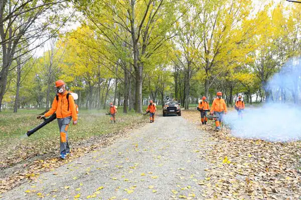 Firma dezinsectie Bucuresti